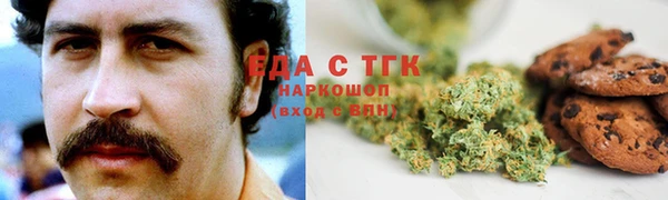 СК Алексин