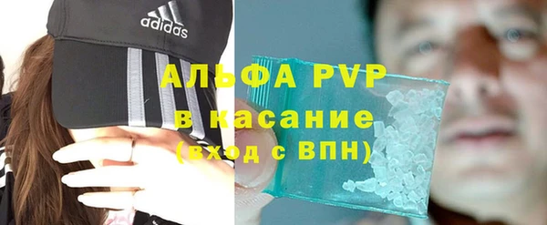 СК Алексин