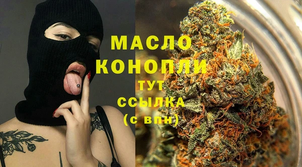 СК Алексин