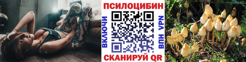 Псилоцибиновые грибы прущие грибы  Анапа 